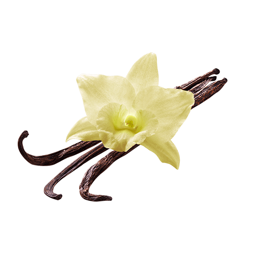 Vanilla