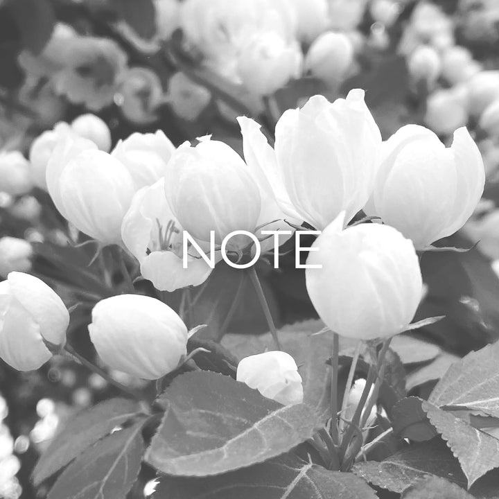 Shop By Notes
